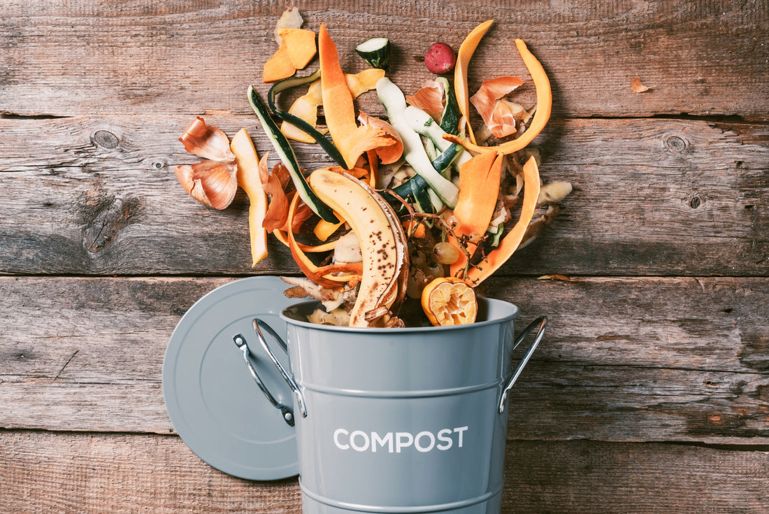 a guide on how to start a compost bin