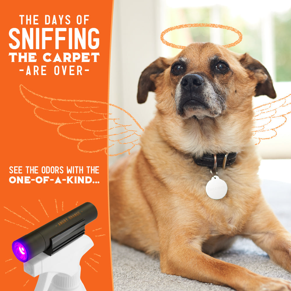The days of sniffing the carpet are over